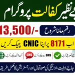 8171 CNIC Check 2026 Verify BISP May Payment 13500 Status Safely