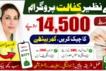 BISP 14500 Payment Status Check Online Through 8171 Portal