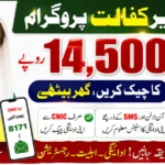 BISP 14500 Payment Status Check Online Through 8171 Portal