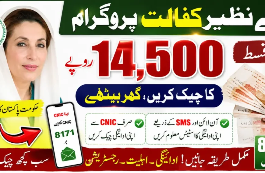 BISP 14500 Payment Status Check Online Through 8171 Portal