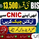 BISP 8171 Payment Check Through CNIC and SMS Complete Eligibility Guide 2026