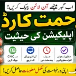 CM Punjab Rahmat Card Status 2026 Complete Tracking Guide