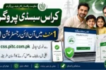 Electricity Bill Relief 2026 Cross Subsidy Program Online Apply Method
