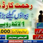 Rahmat Card Apply 2026 Starts in Punjab – Widows Can Get Up to Rs. 100,000