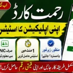 Track Rahmat Card Status Online Through rahmatcard.punjab.gov.pk Portal 2026