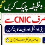 8171 Wazifa Check Online by CNIC 2026 – Check BISP Payment & Eligibility Status