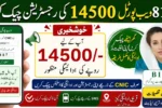 8171 Web Portal 14500 Payment Check Starts – Verify Your CNIC Status Online Today