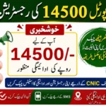 8171 Web Portal 14500 Payment Check Starts – Verify Your CNIC Status Online Today