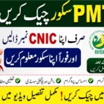BISP 8171 PMT Score 2026 Guide CNIC Verification, Eligibility and Re-Survey Details