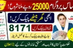 Ehsaas Program 25000 Registration Reopens Check CNIC Status Through 8171 Today
