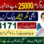 Ehsaas Program 25000 Registration Reopens Check CNIC Status Through 8171 Today