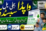 Electricity Bill Subsidy Pakistan 2026 CNIC, Eligibility, Status and Registration