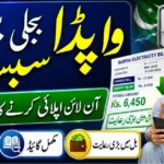 Electricity Bill Subsidy Pakistan 2026 CNIC, Eligibility, Status and Registration